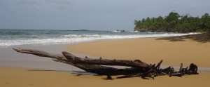 043_0032 Panama - Bocas del Toro - Isla Colon - Bluff Beach