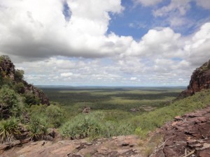 Australia_2010_380-0151_OutbackTrip - Kakadu Nationalpark