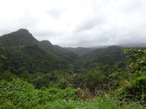025_0008 Dominica  