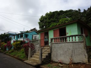 025_0016a Dominica  