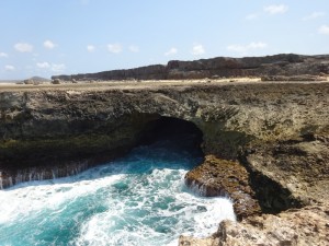 039_0187 Bonaire - Nationalpark 