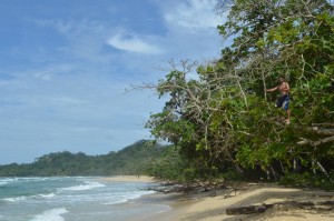 043_0045b Panama - Bocas del Toro - Isla Bastimento  