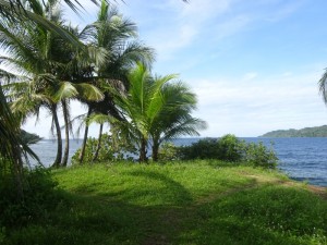 043_0075 Panama - Bocas del Toro - Isla Carenero  