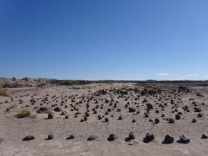 126 0105 Argentina - PN Ischigualasto